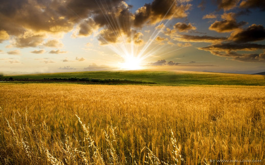 487693 (a): :1920x1200